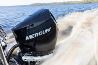 Image for 250 HP Verado 1