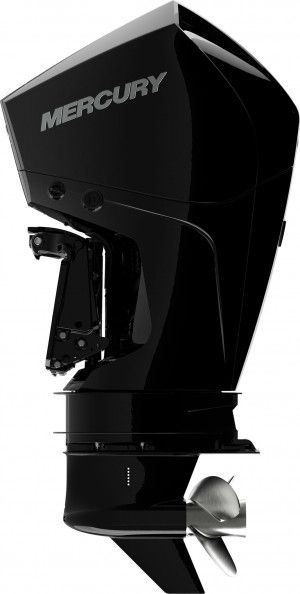 Image for 175 HP FourStroke 0