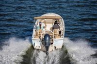 Image for Scout 195 Sport Dorado 4