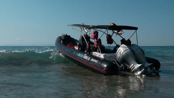 2019 Apex A-28 Deluxe Tender image