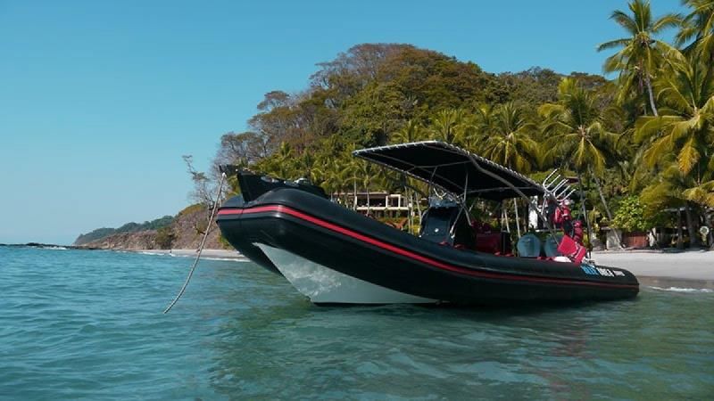 Image for 2019 Apex A-28 Deluxe Tender 12
