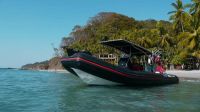 Image for 2019 Apex A-28 Deluxe Tender 12