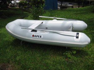 Image for 2019 Apex AL-270 6