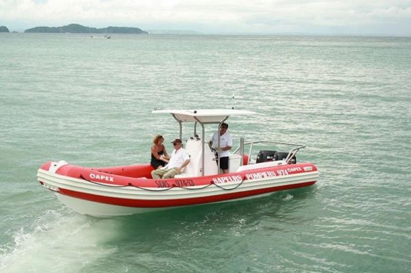 2019 Apex A-24 Deluxe Tender image
