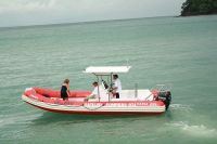 Image for 2019 Apex A-24 Deluxe Tender 2