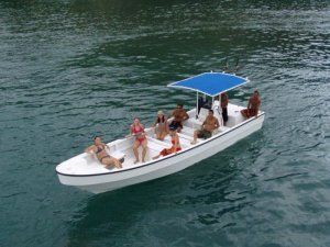 Image for 2019 Apex Panga-26 Sportfishing 0
