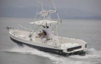 Image for 2019 Apex Panga-26 Sportfishing 3