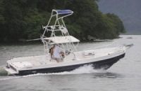 Image for 2019 Apex Panga-26 Sportfishing 4
