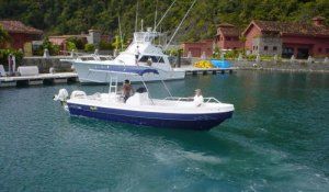 Image for 2019 Apex Panga-26 Sportfishing 5