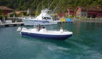 Image for 2019 Apex Panga-26 Sportfishing 5