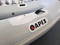 Image for 2019 Apex AL-250 10