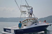 Image for 2019 Apex Quepos-350 Sportfishing 2