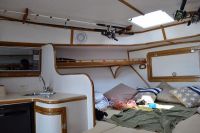 Image for 2019 Apex Quepos-350 Sportfishing 3