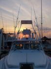 Image for 2019 Apex Quepos-350 Sportfishing 5