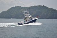Image for 2019 Apex Quepos-350 Sportfishing 6