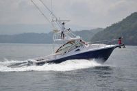 Image for 2019 Apex Quepos-350 Sportfishing 7