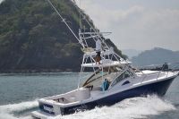 Image for 2019 Apex Quepos-350 Sportfishing 8