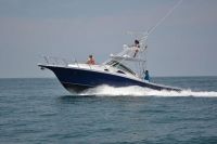 Image for 2019 Apex Quepos-350 Sportfishing 9