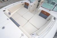 Image for COBIA 330 DC 6