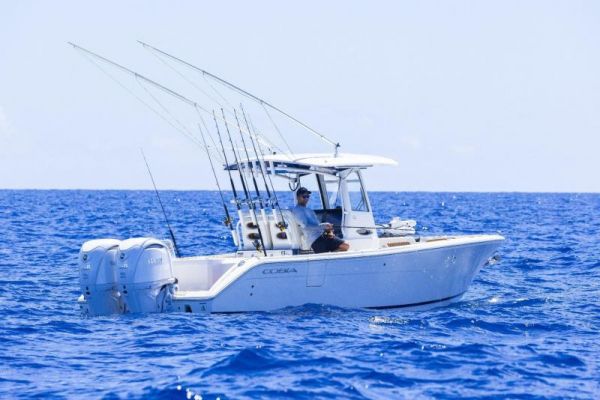COBIA  285 CC image
