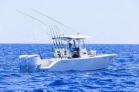 Image for COBIA  285 CC 0