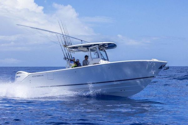 COBIA  285 CC image