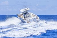 Image for COBIA  285 CC 2