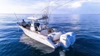Image for COBIA  285 CC 28