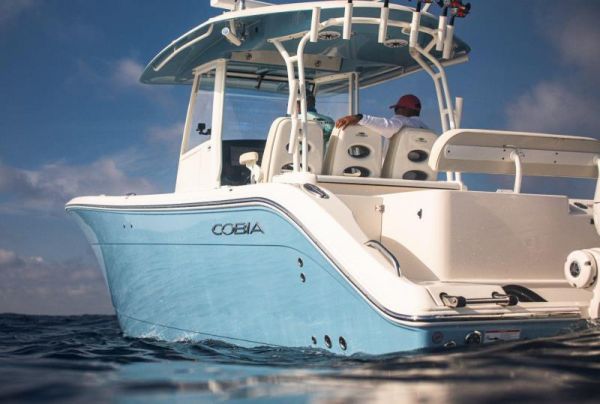COBIA 350 CC image
