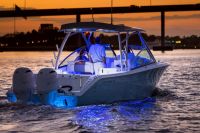 Image for COBIA  280 DC 6