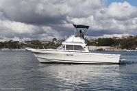Image for 2004 Caribbean 26 Flybridge Cruiser 0