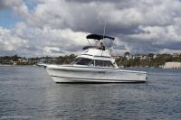 Image for 2004 Caribbean 26 Flybridge Cruiser 1