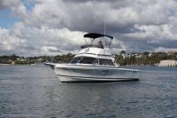 Image for 2004 Caribbean 26 Flybridge Cruiser 2