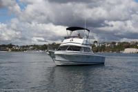 Image for 2004 Caribbean 26 Flybridge Cruiser 3