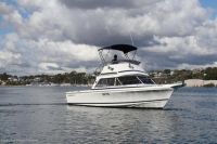 Image for 2004 Caribbean 26 Flybridge Cruiser 5