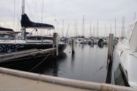 Image for  Fremantle Sailing Club 12m Pen 12m 3