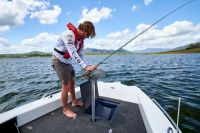 Image for QUINTREX  481 HORNET  WITH YAMAHA 115HP FOR SALE 12