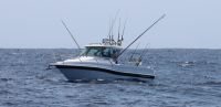 Image for Haines Hunter 725 Enclosed on an Easy Tow Allow Trailer & Powered by Twin F200 Yamaha Outboards 0