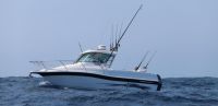 Image for Haines Hunter 725 Enclosed on an Easy Tow Allow Trailer & Powered by Twin F200 Yamaha Outboards 6
