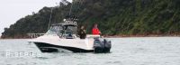 Image for Haines Hunter 760 R-Series + Yamaha F300UCB 4-Strokes Pack 1 for sale online prices 8