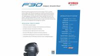 Image for Quintrex F400 Explorer Trophy + Yamaha F30hp 4-Stroke - Pack 1 for sale online prices 4