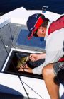 Image for Quintrex F420 Explorer Trophy + Yamaha F50hp 4-Stroke - Pack 2 for sale online prices 5