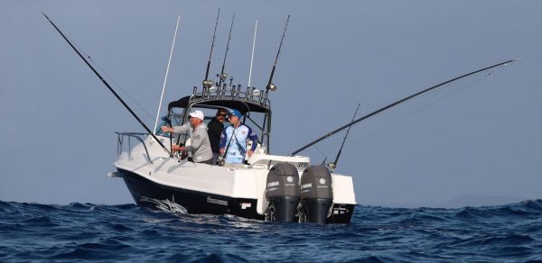 Haines Hunter 725R + Yamaha - Quote only price image