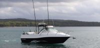 Image for Haines Hunter 725R + Yamaha - Quote only price 1