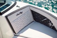 Image for SEA RAY SPX210 OB 18