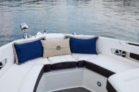 Image for SEA RAY SLX310 27