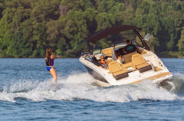 SEA RAY SDX 290 STERN DRIVE image
