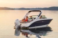 Image for SEA RAY SDX250 OB 19