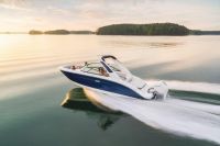 Image for SEA RAY SDX250 OB 21