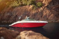 Image for SEA RAY SPX 210 19